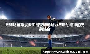 德法选手夺乒乓球欧洲16强杯冠军